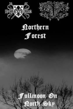 Northern Forest : Fullmoon on North Sky